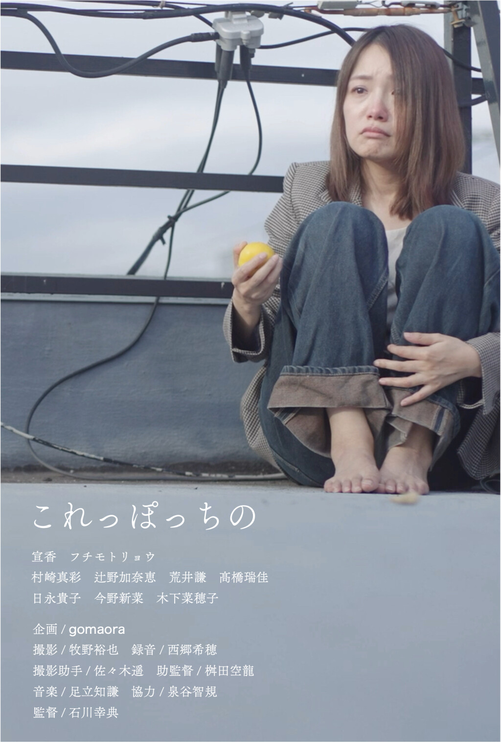 Filmposter for これっぽっちの